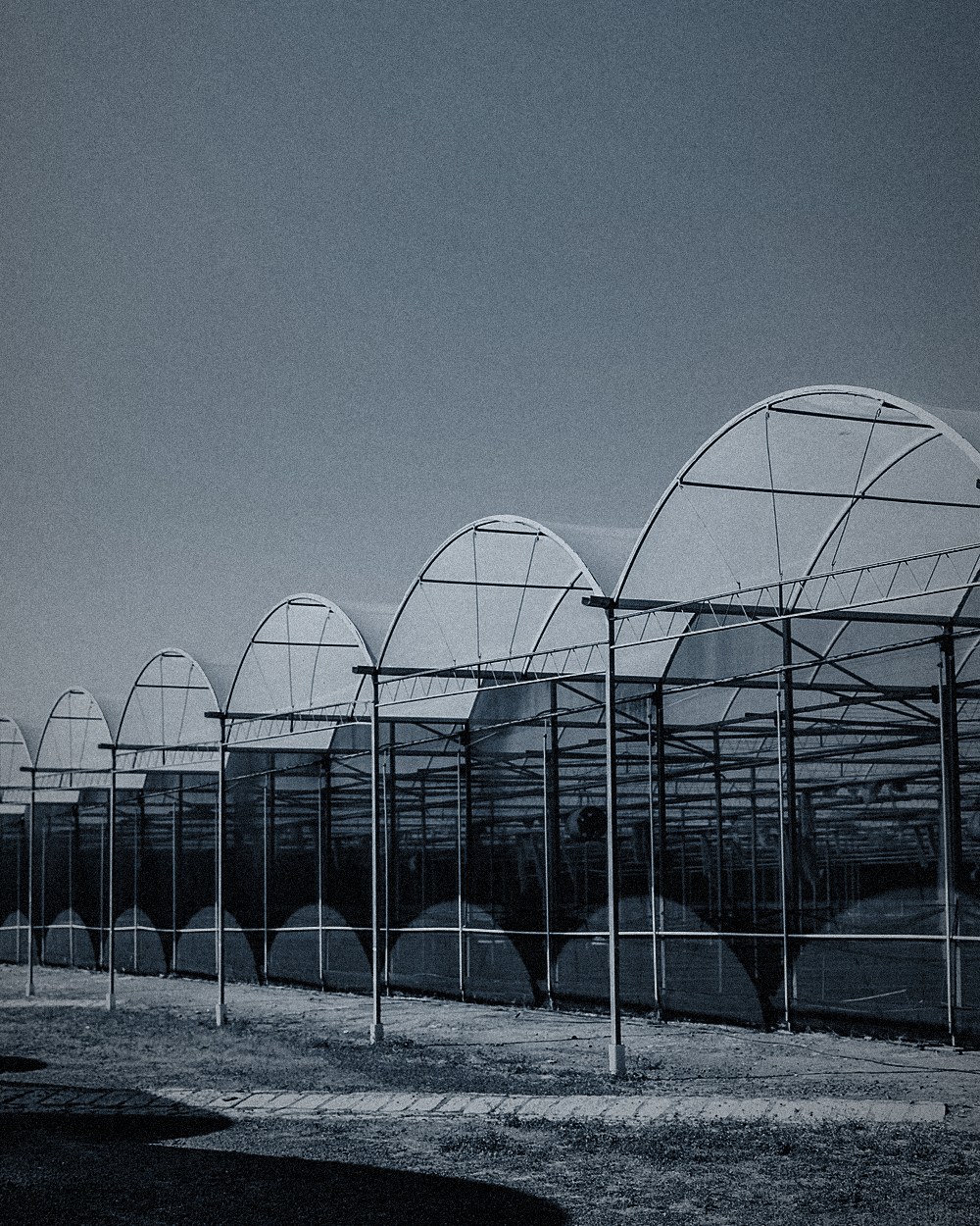 Agricultores e invernaderos